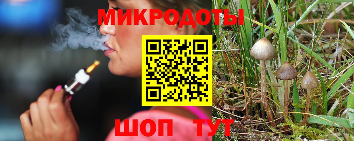 Заводоуковск  Псилоцибиновые грибы Cubensis  Вход с VPN 
